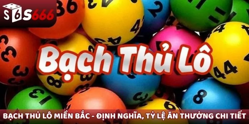bạch thủ lô miền Bắc