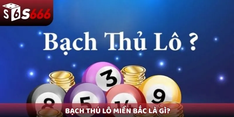 Bạch thủ lô miền Bắc là gì?