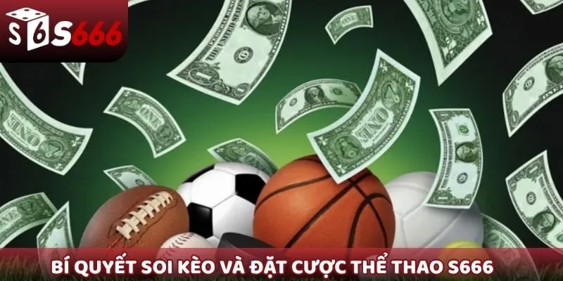 Bí quyết soi kèo và đặt cược thể thao S666
