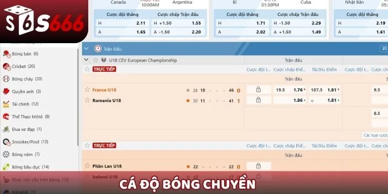 Cá độ bóng chuyền