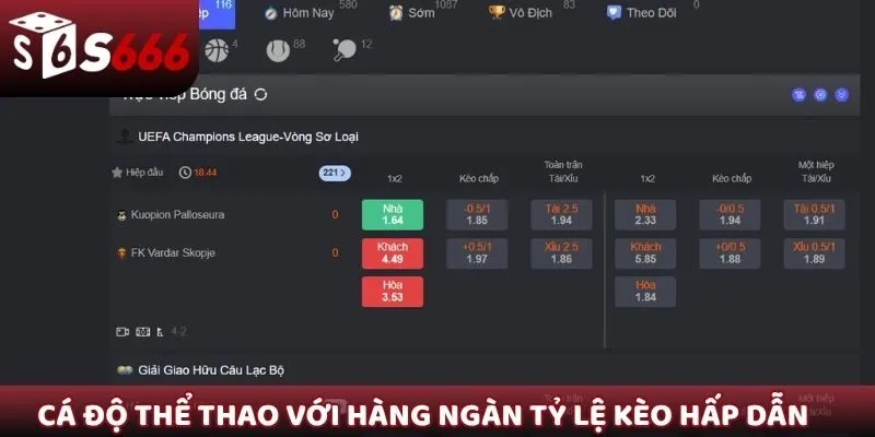 Cá độ thể thao với hàng ngàn tỷ lệ kèo hấp dẫn