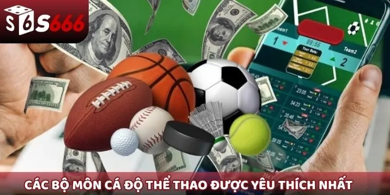 Các bộ môn cá độ thể thao được yêu thích nhất
