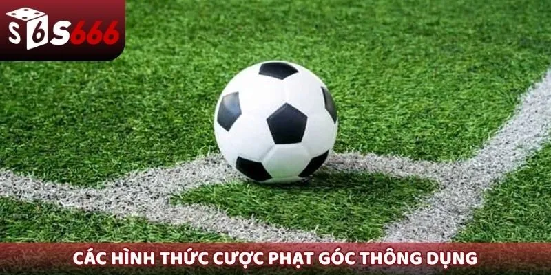 Các hình thức cược phạt góc thông dụng trong bóng đá
