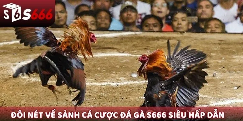Đôi nét về sảnh cá cược đá gà S666 siêu hấp dẫn