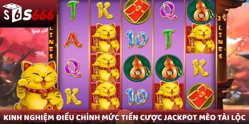 Kinh nghiệm điều chỉnh mức tiền cược Jackpot Mèo Tài Lộc