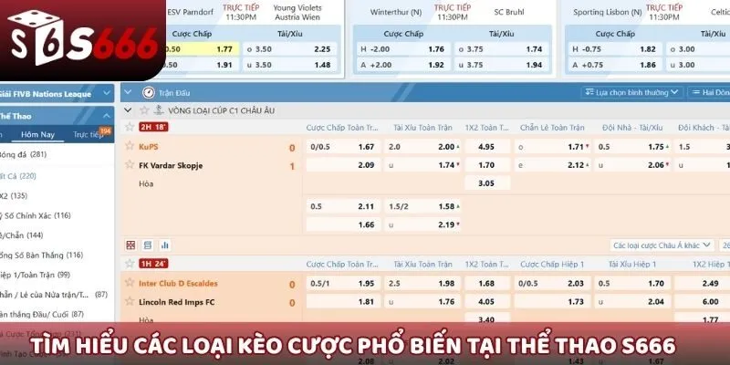 Tìm hiểu các loại kèo cược phổ biến tại Thể thao S666