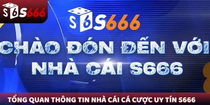 Tổng quan thông tin nhà cái cá cược uy tín S666
